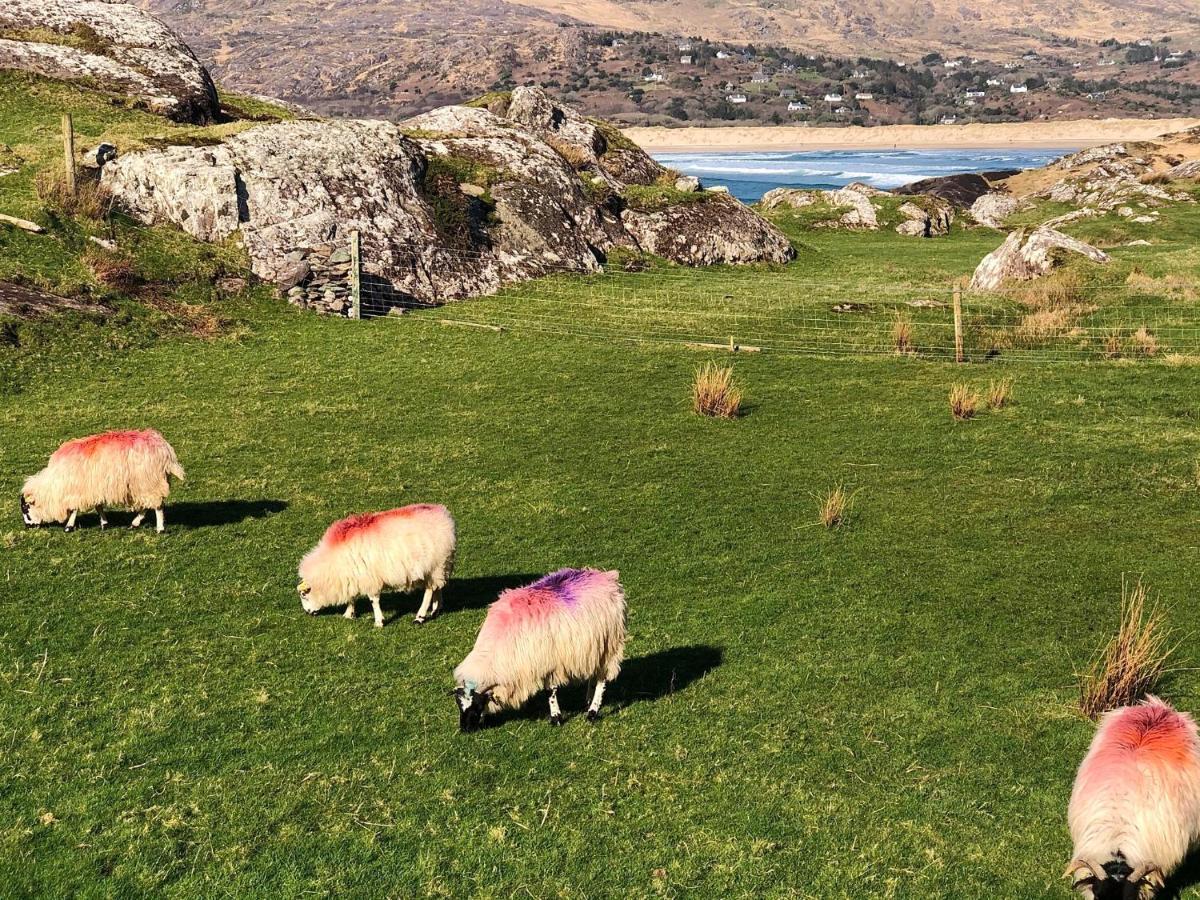 카헤르다니엘 Derrynane Bay House B&B 외부 사진